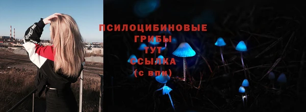 Альфа ПВП Алзамай